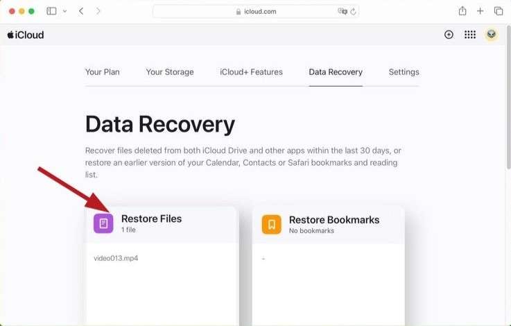 use the icloud restore files option