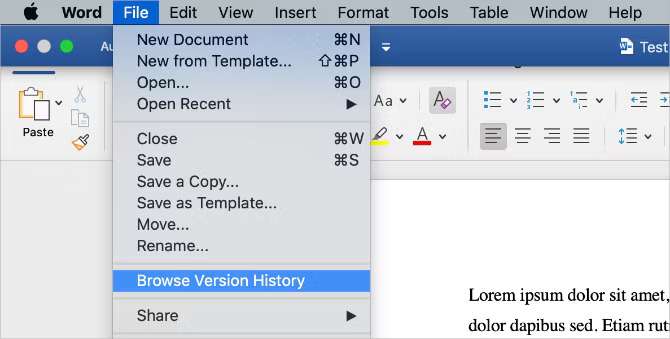 browse version history in word