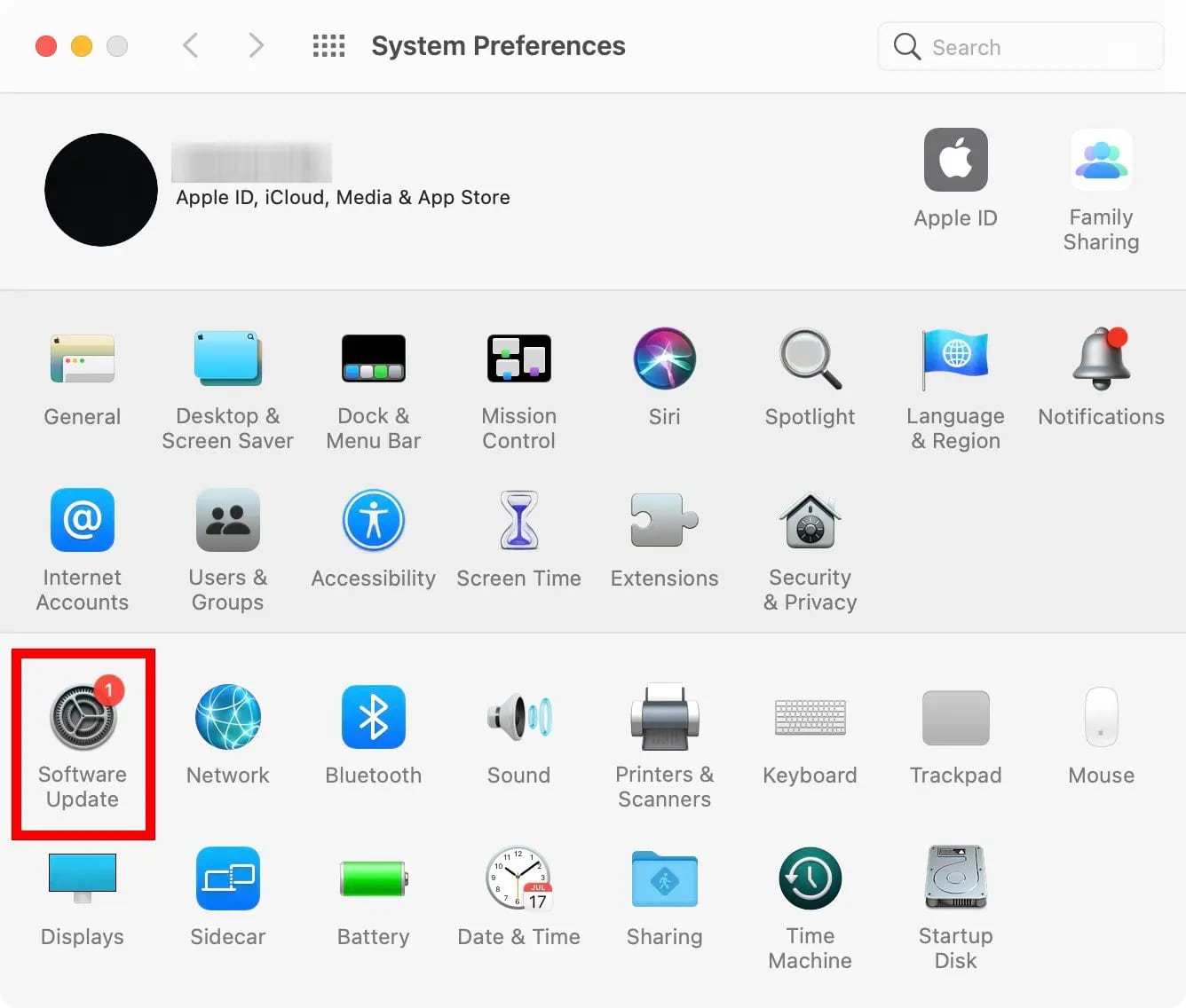 launch software update from system preferences