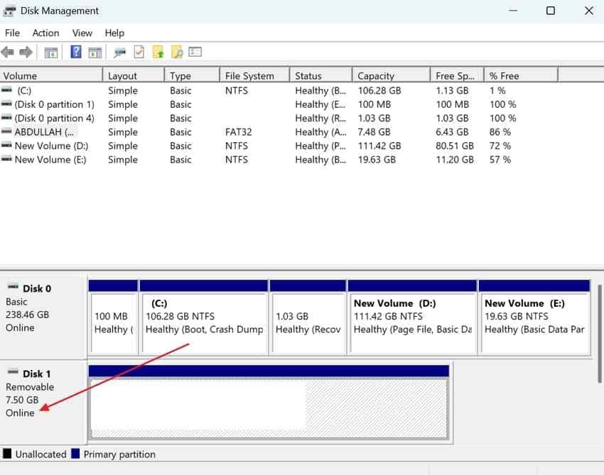 bring offline usb disk online