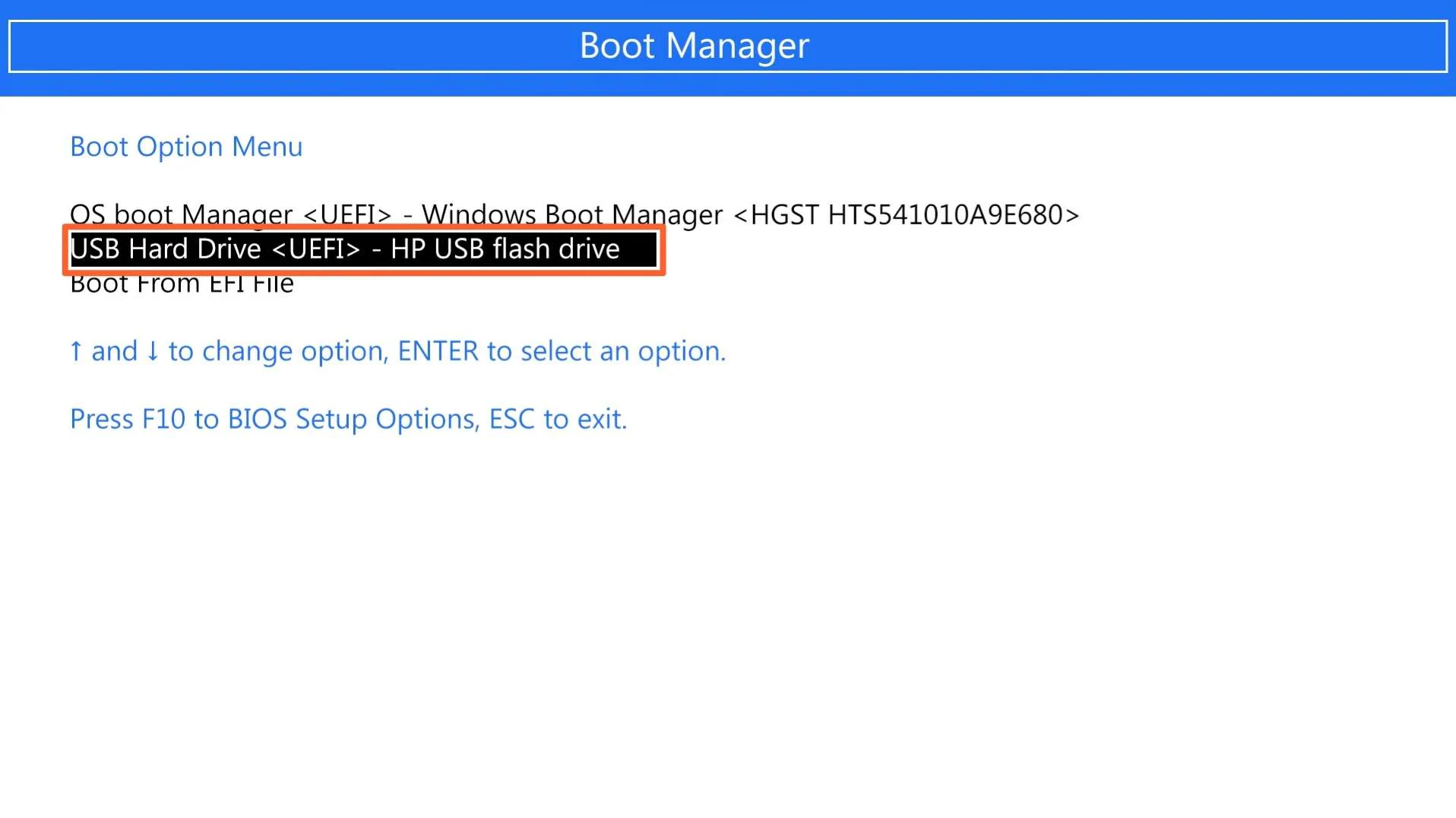 select the usb to boot from