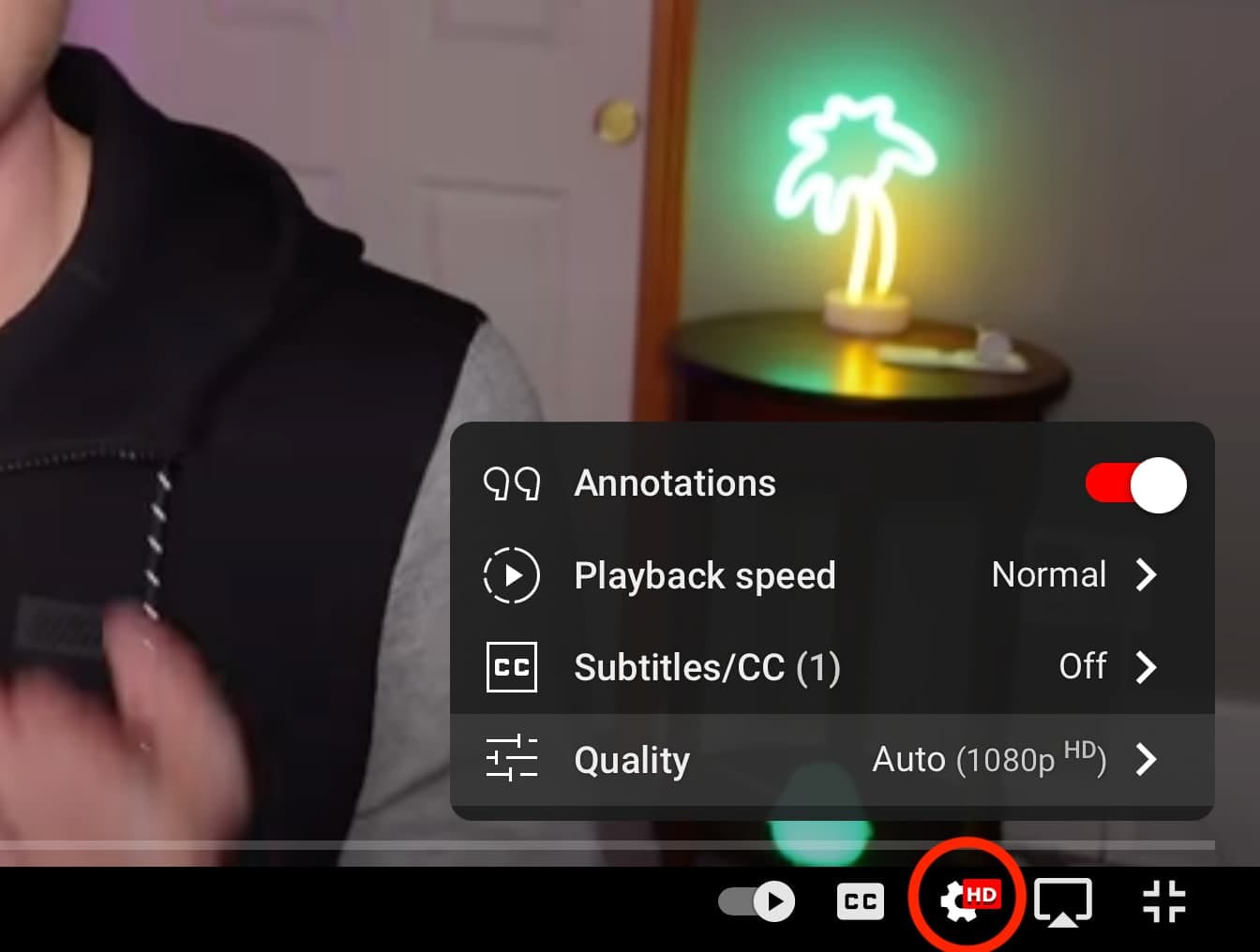 youtube player settings menu showing quality and playback speed options