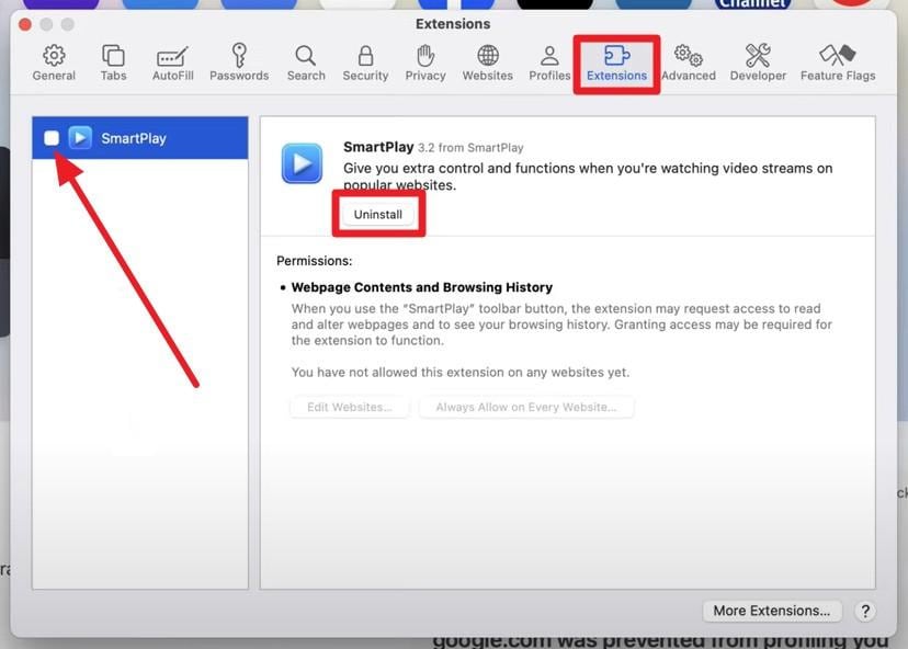 safari settings extensions with checkbox to disable an installed video extension