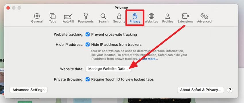 safari privacy settings manage website data control