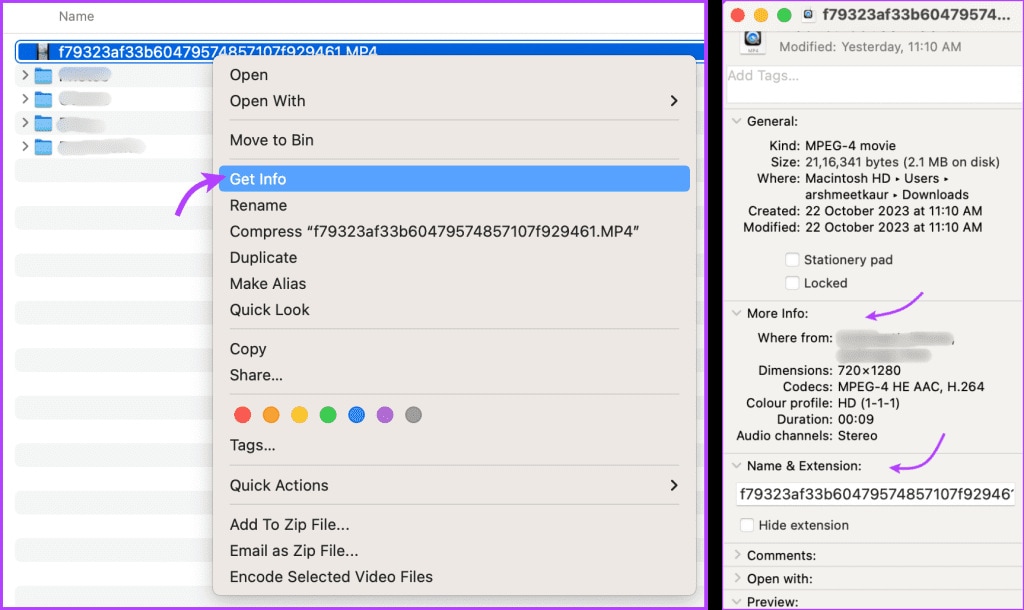finder get info window showing the selected video file details