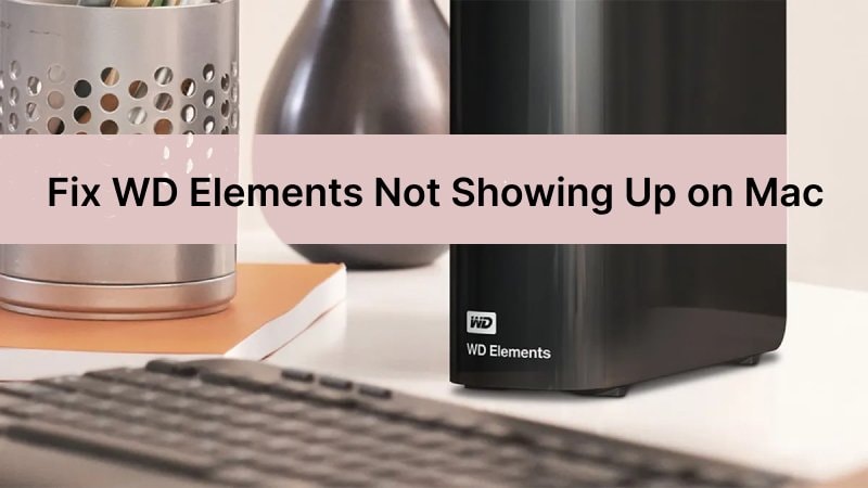 How To Fix WD Elements Not Showing Up on Mac