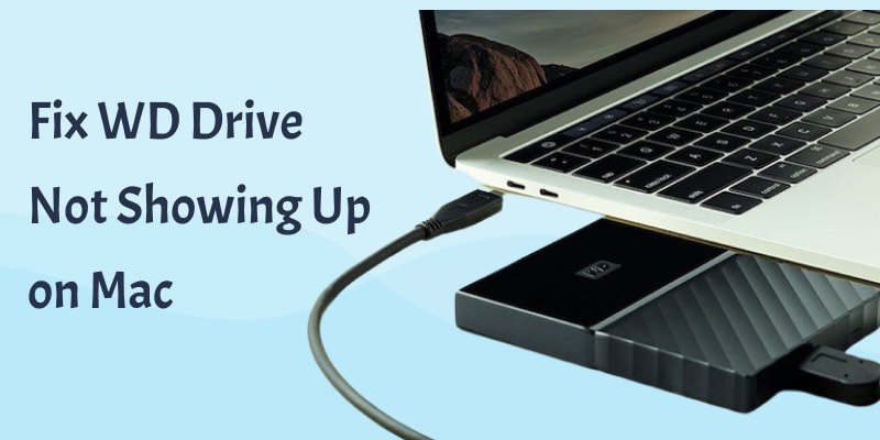 9 Ways to Fix a WD Hard Drive Not Showing Up on Mac
