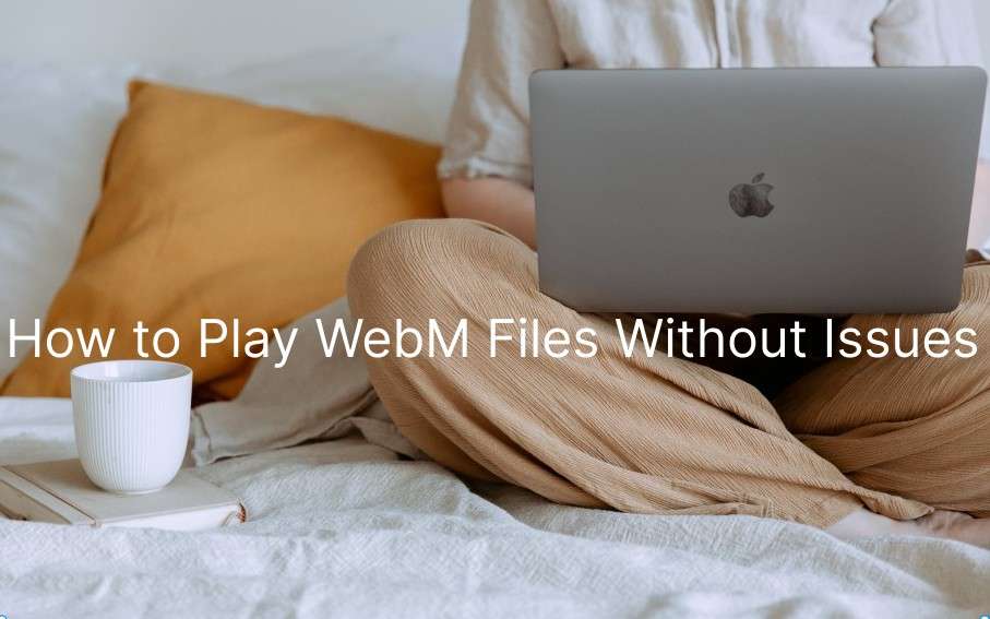How to Play WebM Files Without Issues