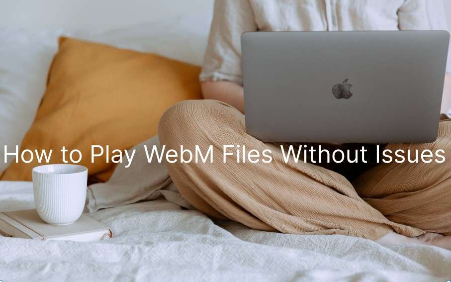 ¿Cómo reproducir archivos WebM sin contratiempos?