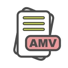 what is amv video format