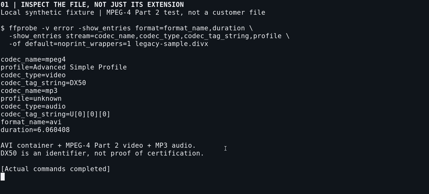 ffprobe identifies an avi container with mpeg4 video dx50 tag and mp3 audio