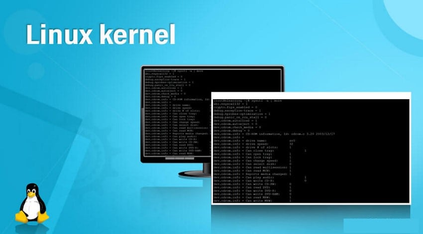 kernel linux component