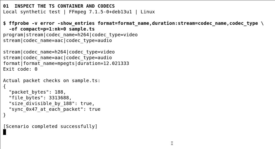 ffprobe identifies h264 video and aac audio inside an mpegts container