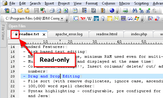 what is read-only file