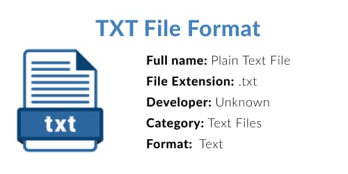 cos'è il file txt