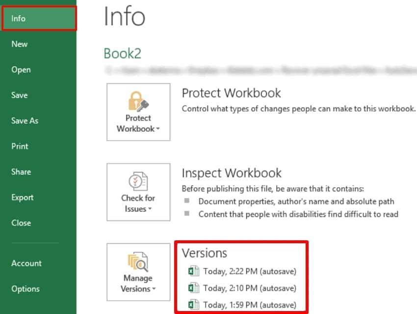 choose desired excel versions