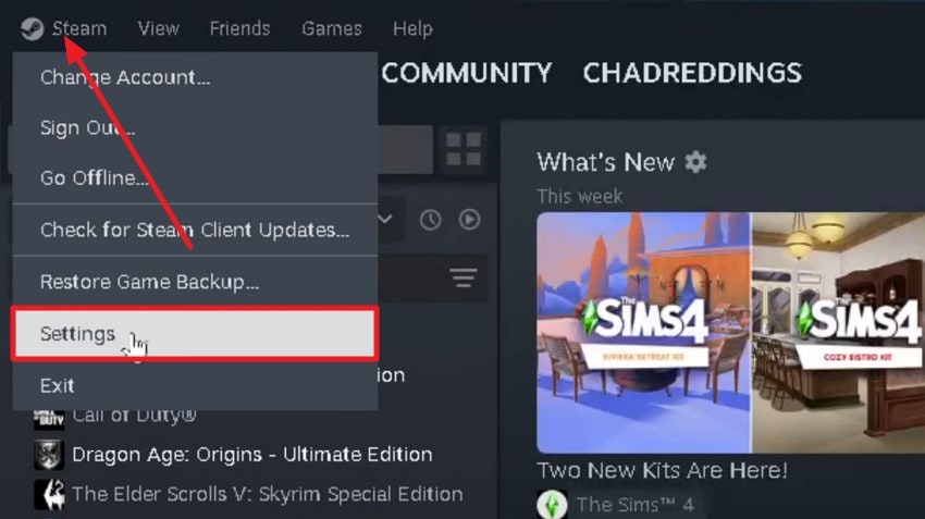 go to steam settings menu