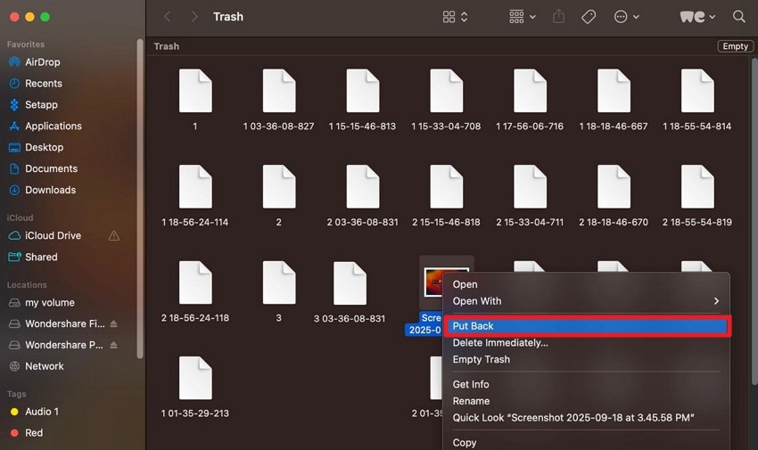restore from mac trash