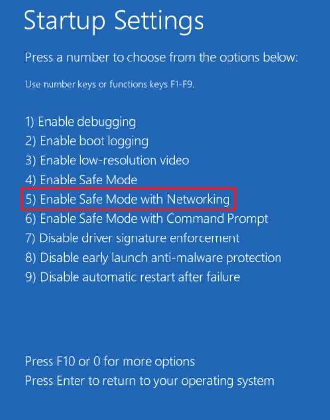 safe mode with networking option
