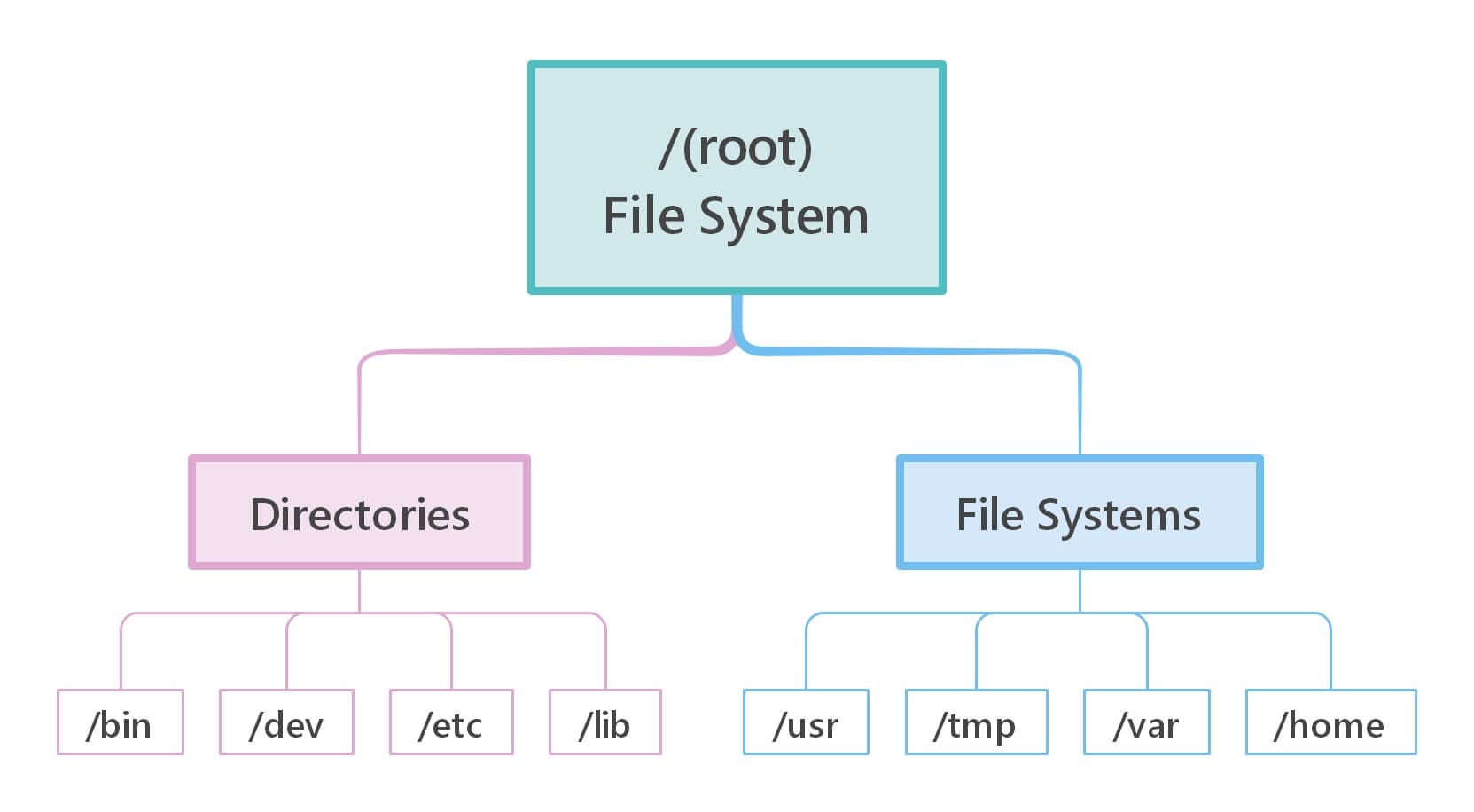 structure of Windows file system