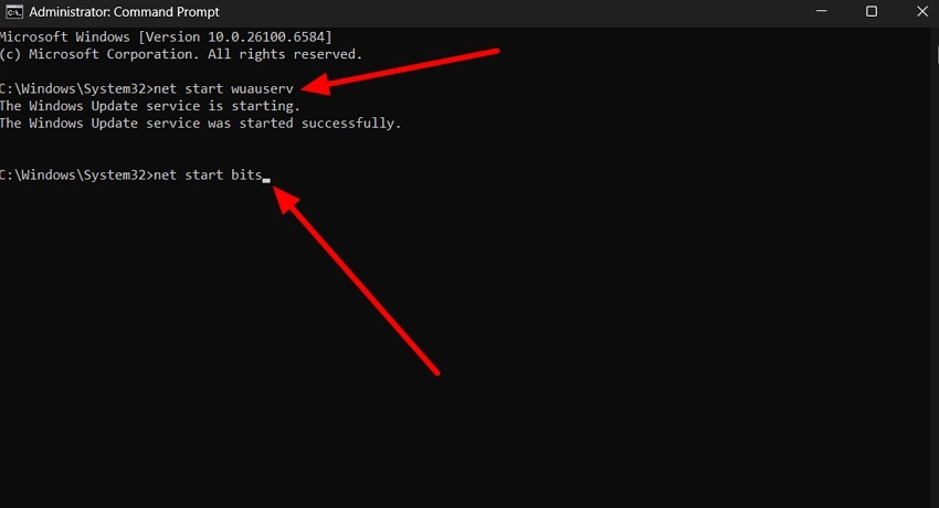delete files software distribution prompt