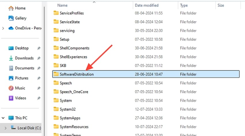 delete software distribution