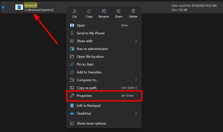 access wuauclt properties