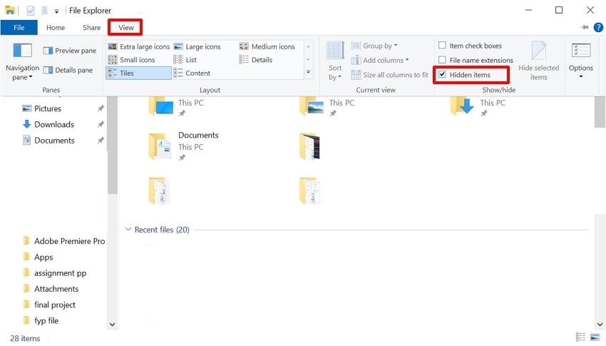 enable the hidden items option