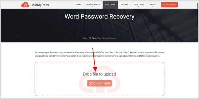 upload word document to lostmypass