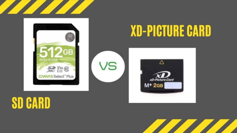 xd picture card vs sd card