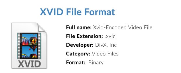 apa itu format file Xvid