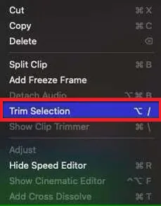 trim selection option