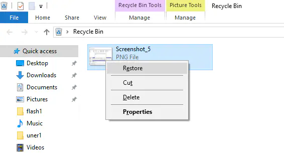 restore from recycle bin