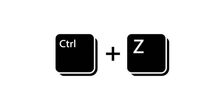 hit ctrl +z