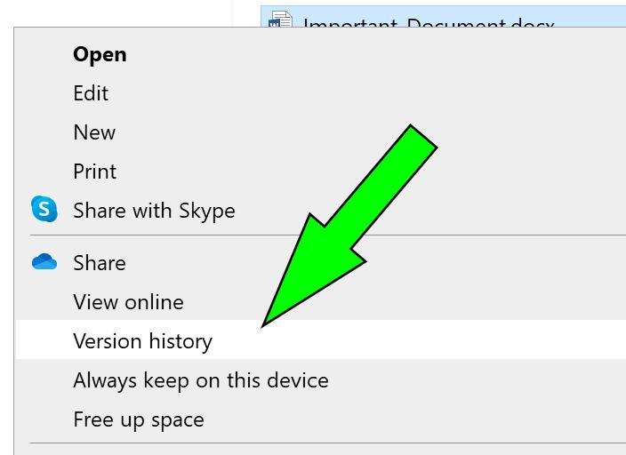 check drives version history