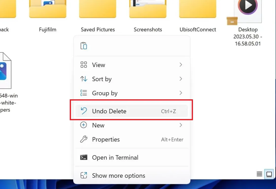 undo delete option