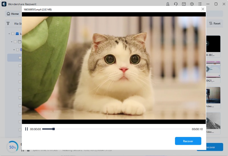 preview your deleted youtube videos