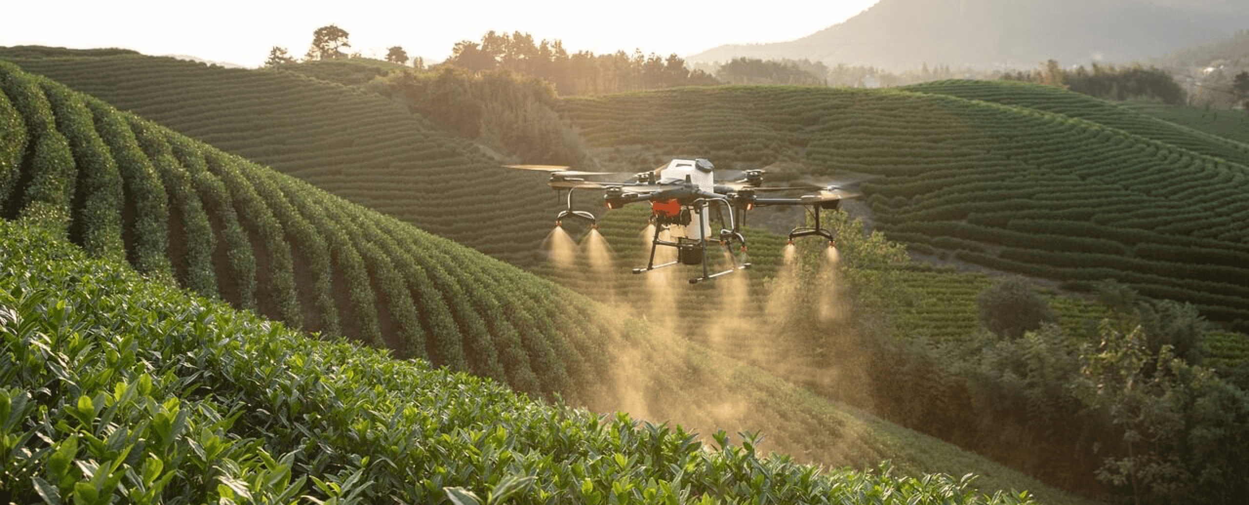what is drone imagery