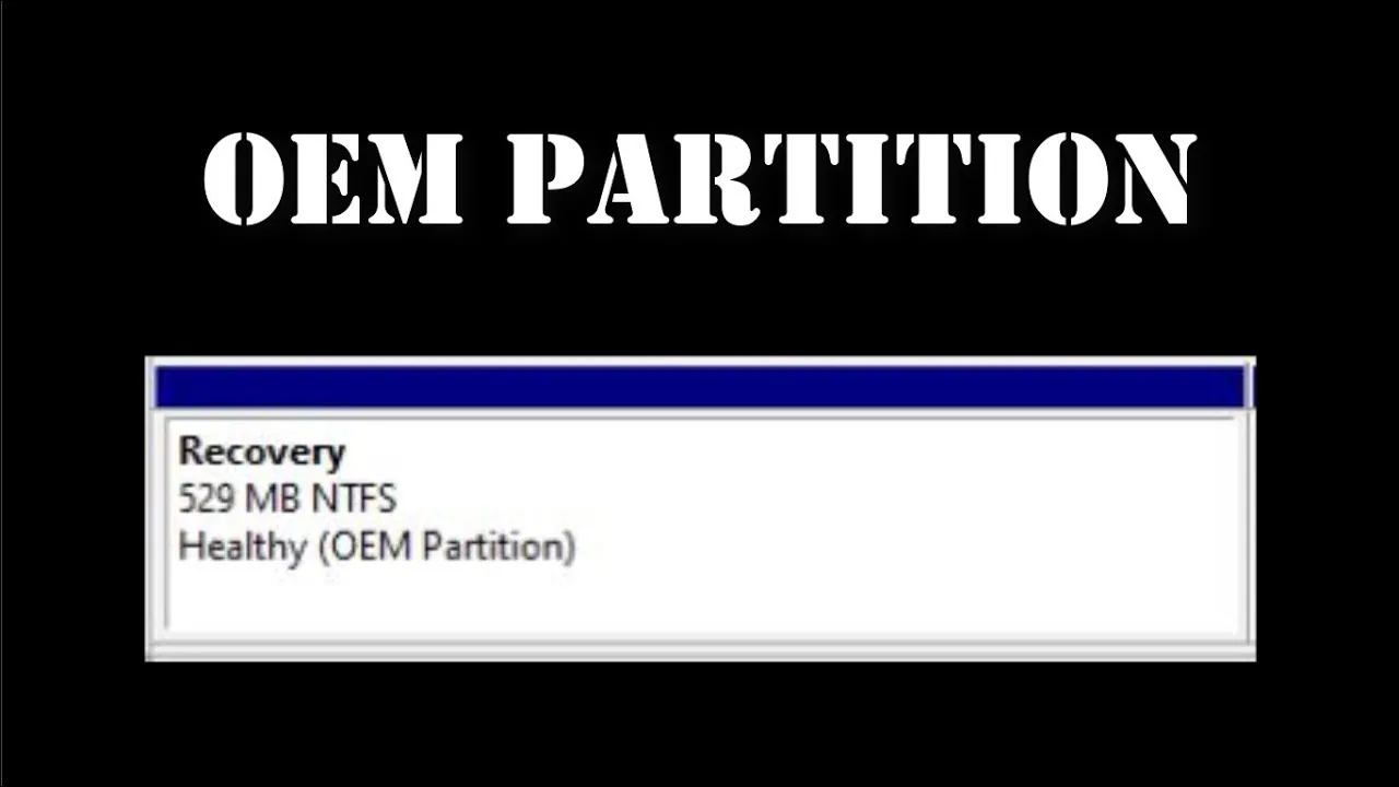 partition recovery