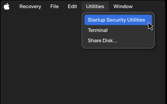select startup security utilities