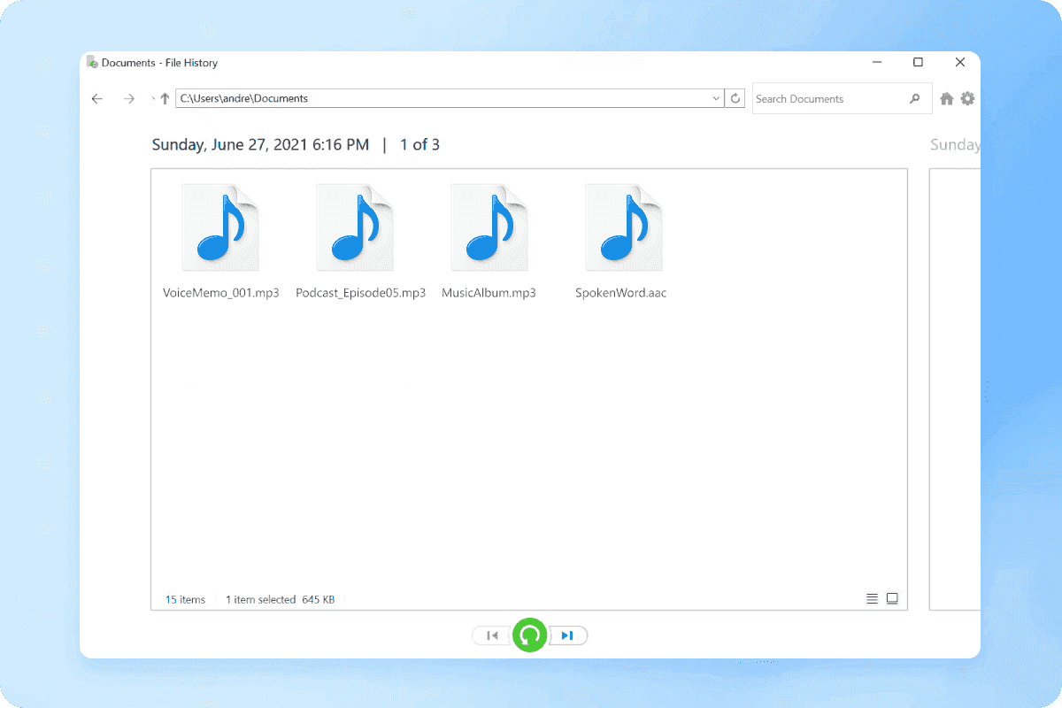 File History