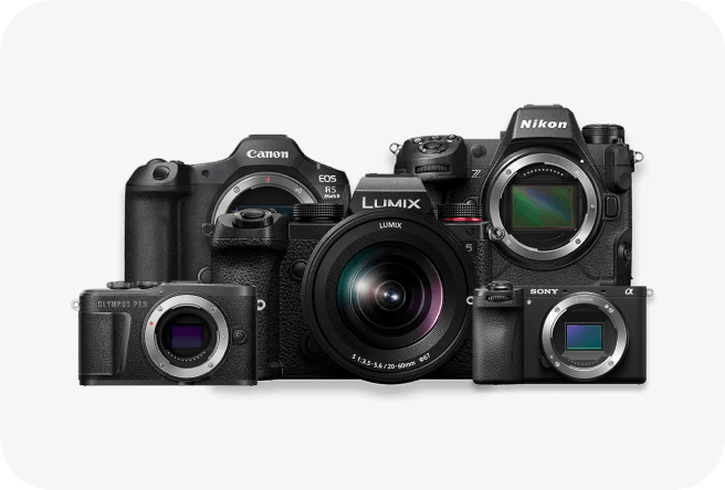 cameras