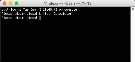 mac terminal commands kill process