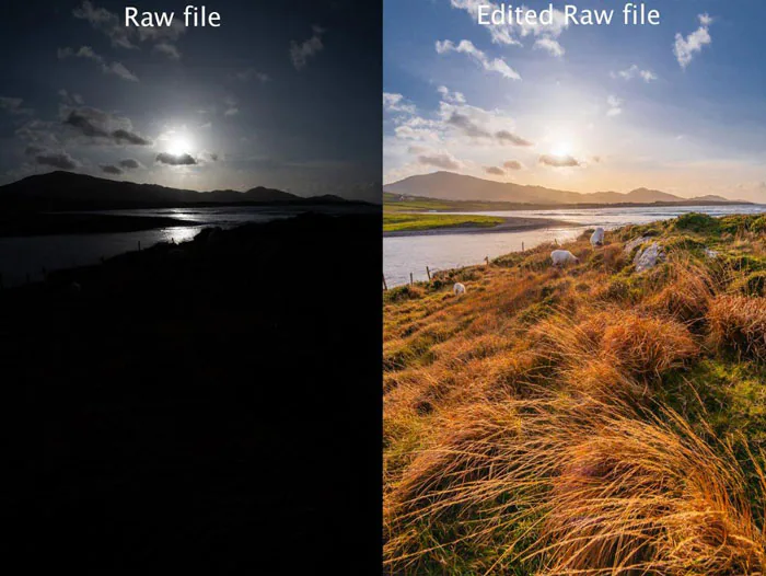 JPEG versus RAW: Qual é melhor?