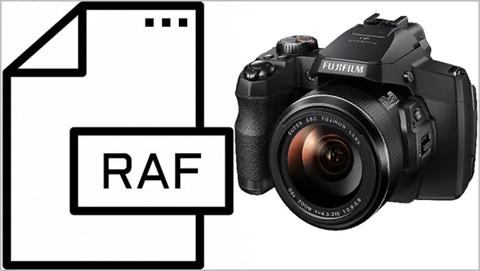 raf files of the fujifilm camera