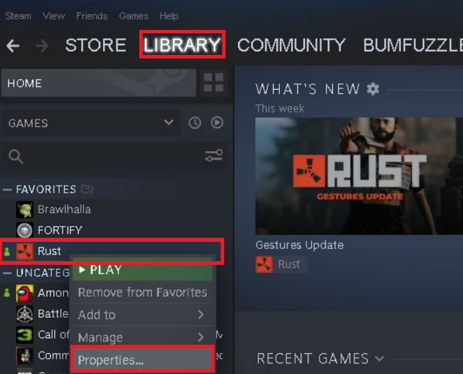 rust steam properties
