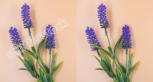 repairit photo eraser shutterstock watermark remover