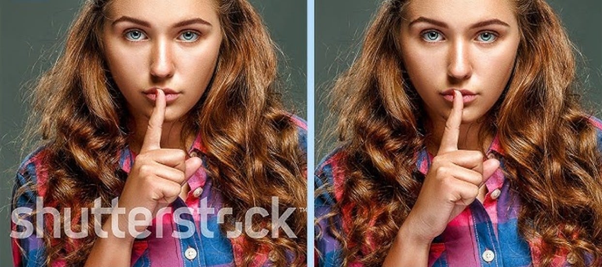 anieraser media io shutterstock watermark remover
