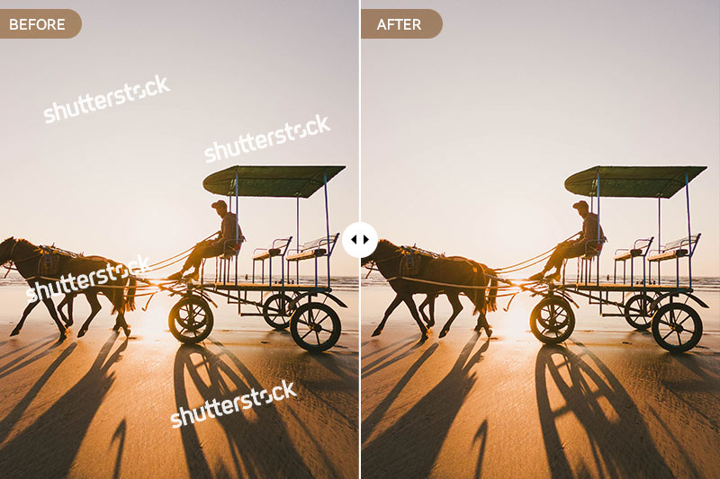 fotor shutterstock watermark remover