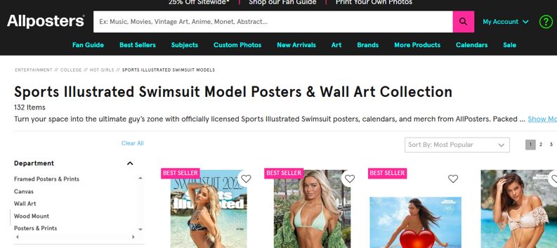 swimsuit illustrated swimsuit in allposters